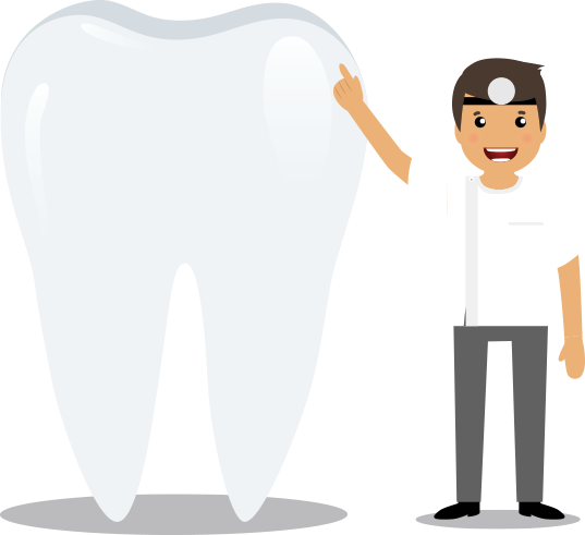 Dentist Dentist Next To Tooth